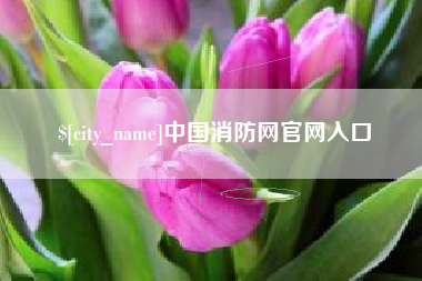 诸暨中国消防网官网入口