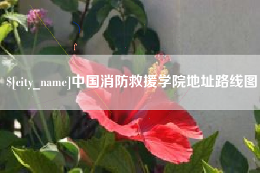 诸暨中国消防救援学院地址路线图