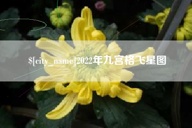诸暨2022年九宫格飞星图