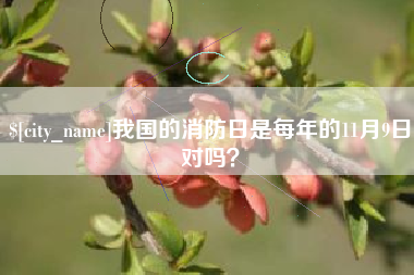 诸暨我国的消防日是每年的11月9日对吗？