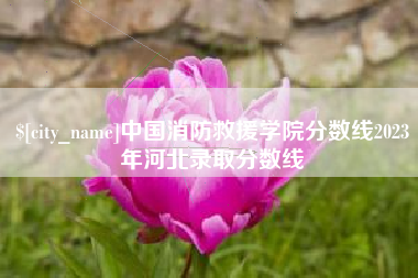 诸暨中国消防救援学院分数线2023年河北录取分数线