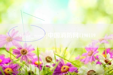 诸暨中国消防网1190119