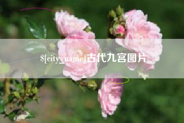 诸暨古代九宫图片