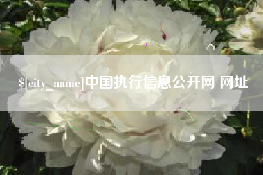 诸暨中国执行信息公开网 网址