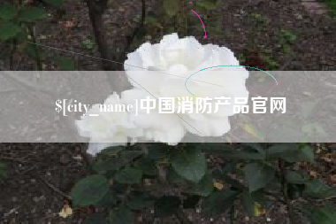 诸暨中国消防产品官网