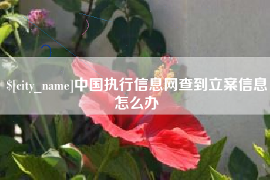 诸暨中国执行信息网查到立案信息怎么办