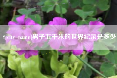 诸暨男子五千米的世界纪录是多少