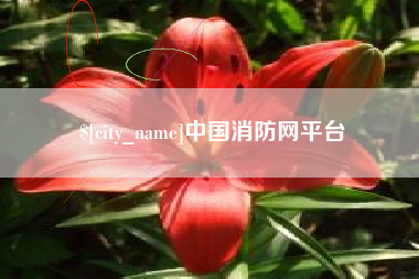 诸暨中国消防网平台
