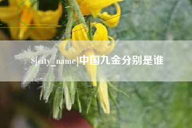 诸暨中国九金分别是谁