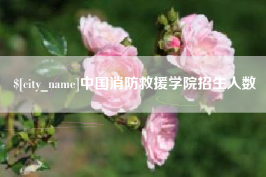 诸暨中国消防救援学院招生人数