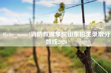 诸暨消防救援学院山东招生录取分数线2020