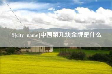 诸暨中国第九块金牌是什么
