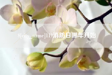诸暨119消防日哪年开始