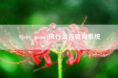 诸暨执行公告查询系统