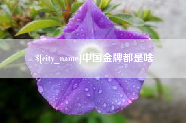 诸暨中国金牌都是啥