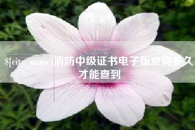 诸暨消防中级证书电子版查询多久才能查到