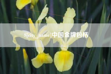 诸暨中国金牌包括