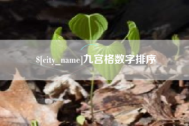 诸暨九宫格数字排序