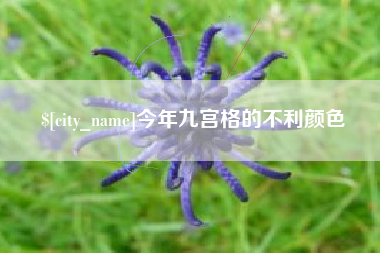 诸暨今年九宫格的不利颜色