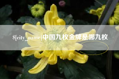 诸暨中国九枚金牌是哪九枚