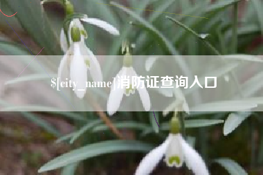 诸暨消防证查询入口