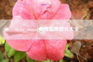 诸暨中国金牌图片大全
