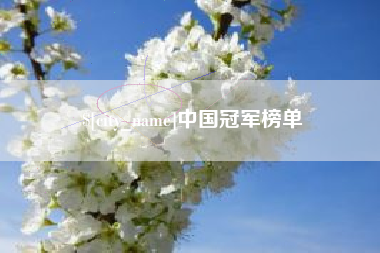 诸暨中国冠军榜单