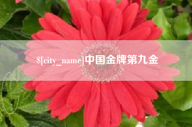 诸暨中国金牌第九金