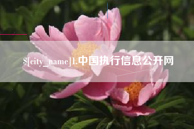 诸暨1.中国执行信息公开网