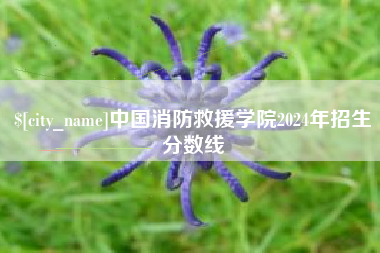 诸暨中国消防救援学院2024年招生分数线