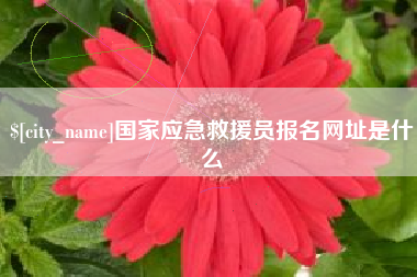 诸暨国家应急救援员报名网址是什么