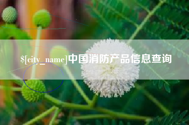 诸暨中国消防产品信息查询