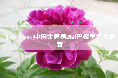 诸暨中国金牌榜2024巴黎奥运会最新