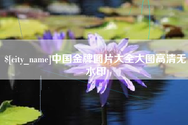 诸暨中国金牌图片大全大图高清无水印