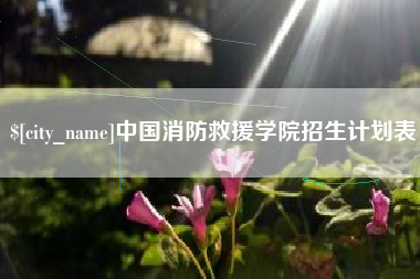 诸暨中国消防救援学院招生计划表