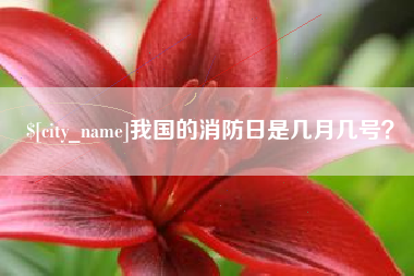 诸暨我国的消防日是几月几号？