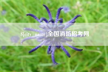 诸暨全国消防招考网