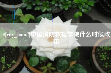诸暨中国消防救援学院什么时候政审