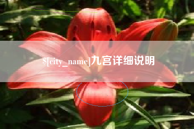 诸暨九宫详细说明