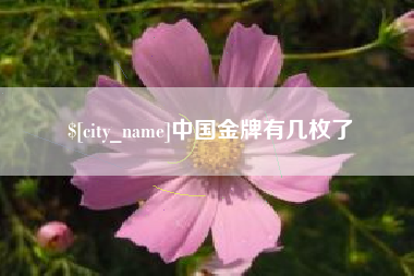 诸暨中国金牌有几枚了