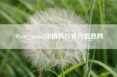 诸暨中国执行执行信息网