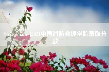诸暨2021中国消防救援学院录取分数