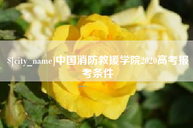诸暨中国消防救援学院2020高考报考条件