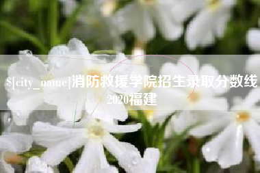 诸暨消防救援学院招生录取分数线2020福建