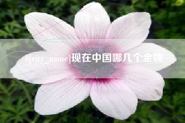 诸暨现在中国哪几个金牌