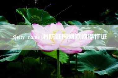 诸暨消防证国网查询操作证