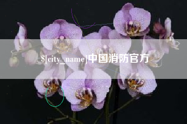 诸暨中国消防官方