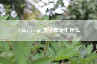 诸暨王子豪是个什么