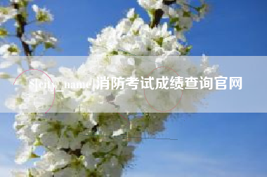 诸暨消防考试成绩查询官网