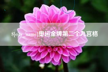 诸暨奥运金牌第二个九宫格